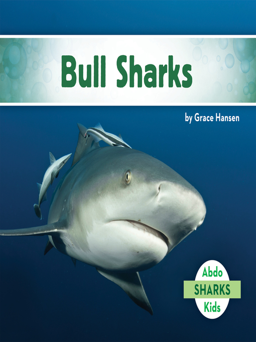 Title details for Bull Sharks by Grace Hansen - Available